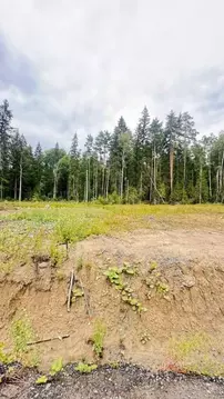 Участок в Ленинградская область, Всеволожский район, Токсовское ...