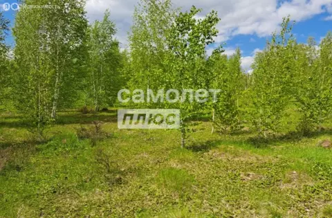 Участок в Челябинская область, Сосновский муниципальный округ, деревня ...