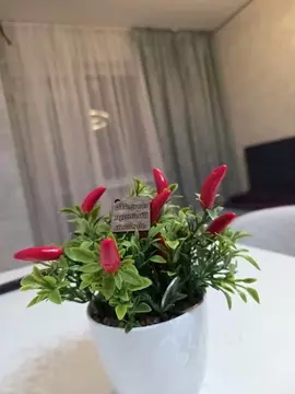 1-к кв. Ростовская область, Ростов-на-Дону ул. Тимошенко, 5А (30.0 м)