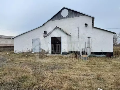 Помещение свободного назначения в Алтайский край, Рубцовский район, ...