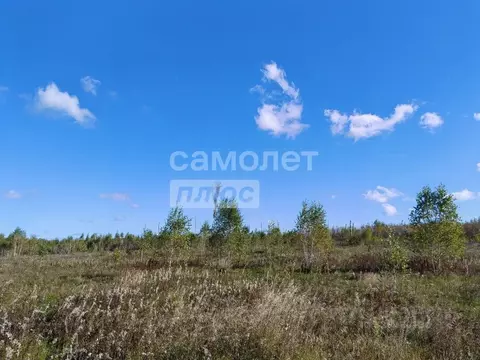 Участок в Челябинская область, Сосновский муниципальный округ, д. ...