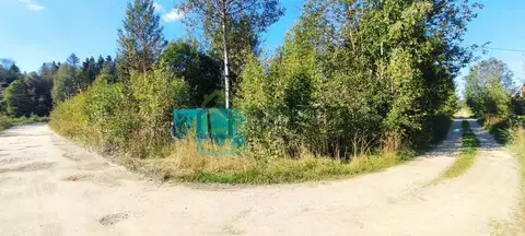 Участок в Ленинградская область, Гатчинский муниципальный округ, Учхоз ...