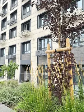 Торговая площадь в Башкортостан, Уфа Айская ул., 61 (60 м)