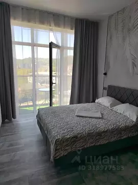 Студия Краснодарский край, Сочи городской округ, Дагомыс пгт ш. ...