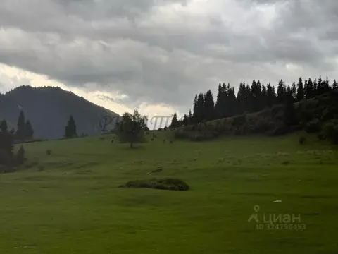 Участок в Алтай, Турочакский район, с. Дмитриевка  (100.0 сот.)