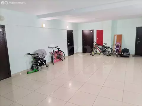 3-комнатная квартира: Тобольск, 9-й микрорайон, 37 (74 м)