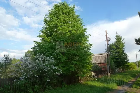 Участок в Омская область, Кормиловский район, Сыропятское с/пос, ...