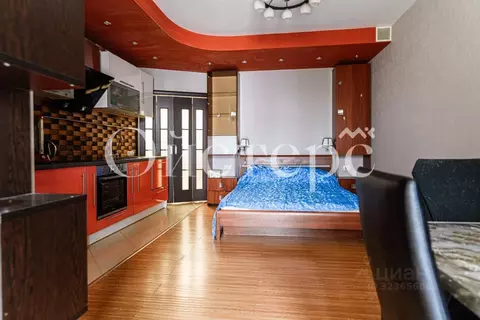 Студия Санкт-Петербург Малая Десятинная ул., 11 (31.1 м)