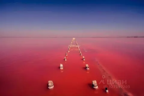 Участок в Крым, Сакский район, Лесновское с/пос, с. Прибрежное  (70.0 ...