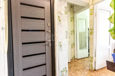 1-к кв. Амурская область, Благовещенск Театральная ул., 44/2 (28.3 м)