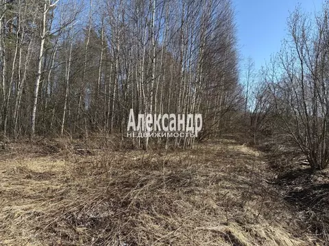 Участок в Ленинградская область, Приозерский район, Кузнечнинское ...