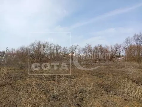 Участок в Воронежская область, Новоусманский район, пос. Отрадное  ...