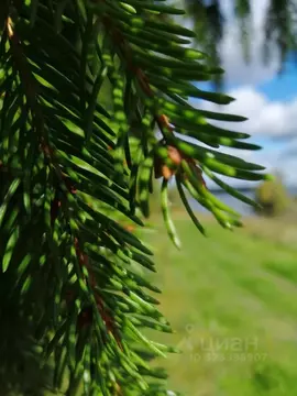 Участок в Московская область, Можайский муниципальный округ, д. Новая  ...