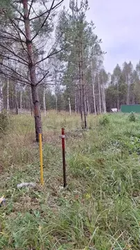 Участок в Мордовия, Большеберезниковский район, с. Гарт  (15.0 сот.)
