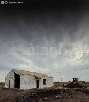 Дом в Первомайский район, посёлок Новый, Рябиновая улица (95 м)