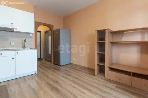 Квартира-студия: Санкт-Петербург, Среднерогатская улица, 16к2 (21 м)