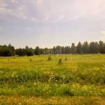 Участок в Владимирская область, Муром д. Коржавино, ул. Лесная, 8 ...