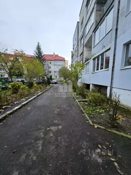 1-к кв. Калининградская область, Калининград Воздушная ул., 64Б (39.0 ...