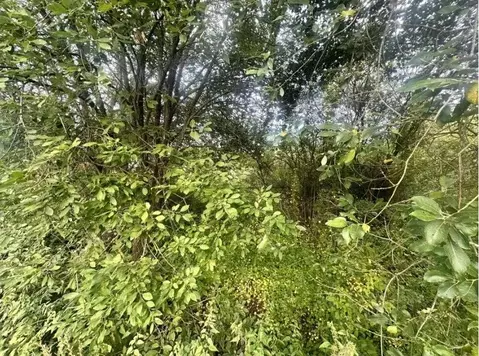 Участок в Московская область, Богородский городской округ, д. Ново  ...
