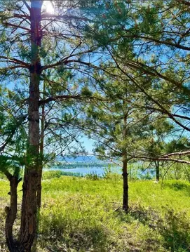 Участок в Самарская область, Красноярский район, Светлое Поле с/пос, ...