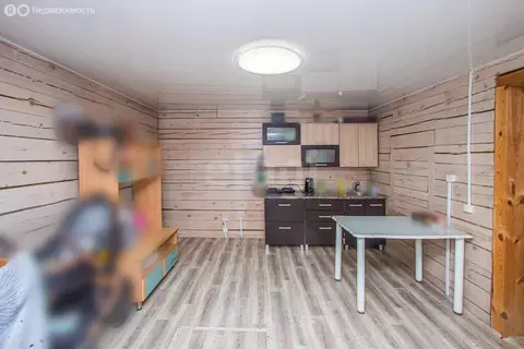 Дом в Улан-Удэ, садоводческое товарищество Весна (30.9 м)