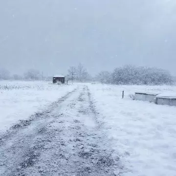 Участок в Сахалинская область, Анивский городской округ, с. ...