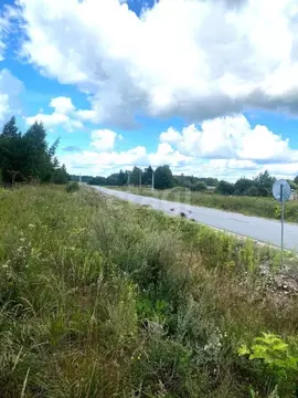 Участок в Псковская область, Печорский муниципальный округ, пос. ...