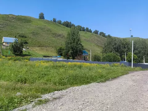 Участок в Алтайский край, Алтайский район, с. Нижнекаянча ул. Усть-Уба ...