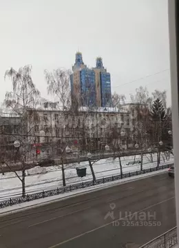 1-к кв. Новосибирская область, Новосибирск Красный просп., 13 (31.0 м)