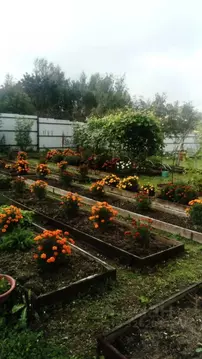 Дом в Ленинградская область, Сланцевский район, Старопольское с/пос, ...