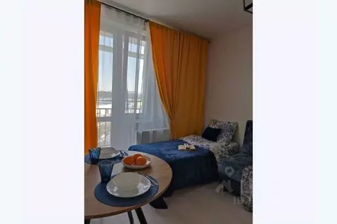 1-к кв. Башкортостан, Уфа ул. Ленина, 162/1 (25.0 м)