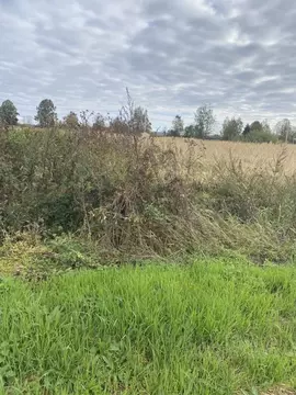 Участок в Московская область, Лотошино муниципальный округ, пос. ...