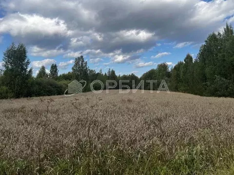 Участок в Тюменская область, Тюмень  (73.7 сот.)