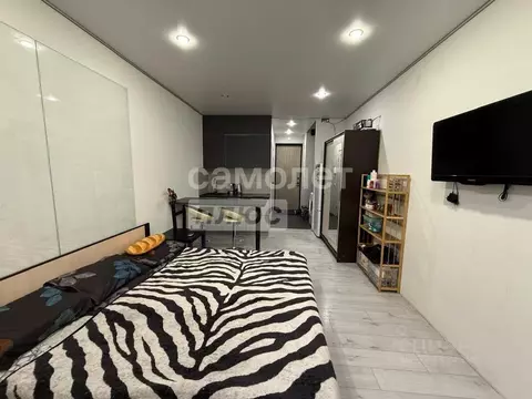 Студия Свердловская область, Екатеринбург ул. Чкалова, 18 (26.4 м)