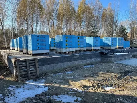 Участок в Алтайский край, Первомайский район, с. Санниково ул. ...