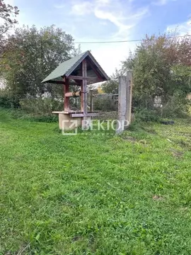 Участок в Костромская область, Красносельский район, Боровиковское ...