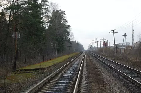 Участок в Волосовский район, Калитинское сельское поселение, деревня ...