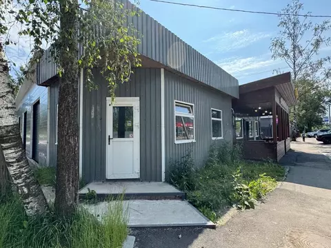 Помещение свободного назначения (250 м)