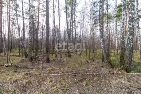 Участок в Тюменская область, Нижнетавдинский муниципальный округ, ...