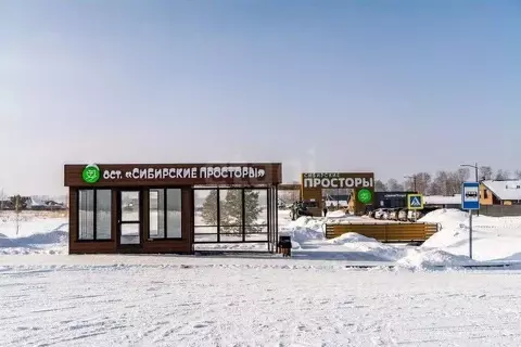 Участок в Новосибирская область, Новосибирский район, Сибирские ...