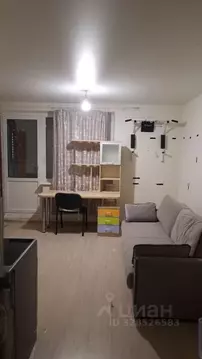 Студия Москва просп. Нововатутинский, 13 (25.0 м)