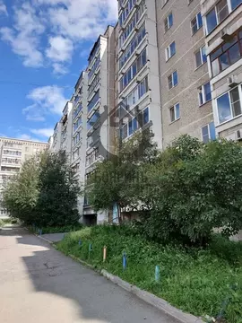 3-к кв. Свердловская область, Екатеринбург ул. Бисертская, 131 (54.0 ...