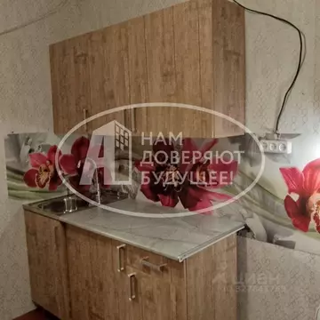 Дом в Пермский край, Чернушинский муниципальный округ, с. Деменево ул. ...