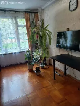 2-комнатная квартира: Санкт-Петербург, Народная улица, 20 (46.3 м)