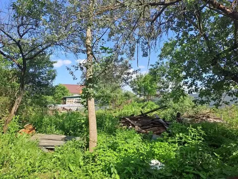 Участок в Москва д. Бачурино, уч11 (10.0 сот.)