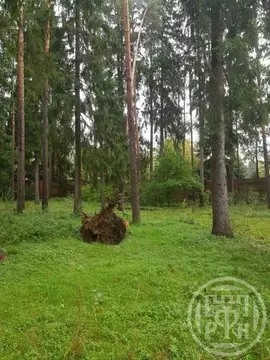 Участок в Ленинградская область, Выборгский район, Первомайское с/пос, ...
