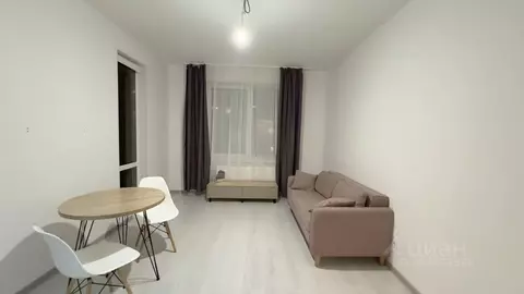 Студия Санкт-Петербург аллея Арцеуловская, 19 (22.4 м)