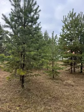 Участок в Екатеринбург, Чкаловский район (8 м)