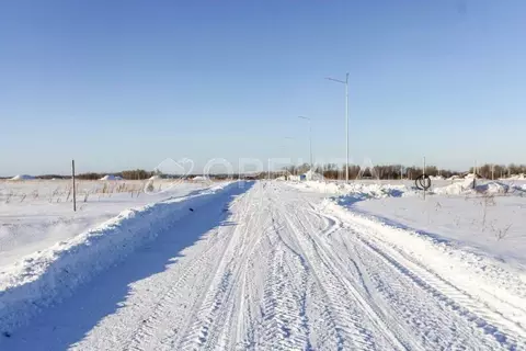 Участок в Тюменская область, Тюменский район, Новокаменский кп  (20.0 ...