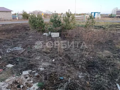 Участок в Тюменская область, Тюменский муниципальный округ, Лоза СНТ ...